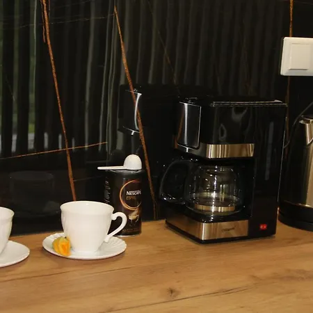 Nikoapartments - Miniapartment 2+2 Daire Krakow